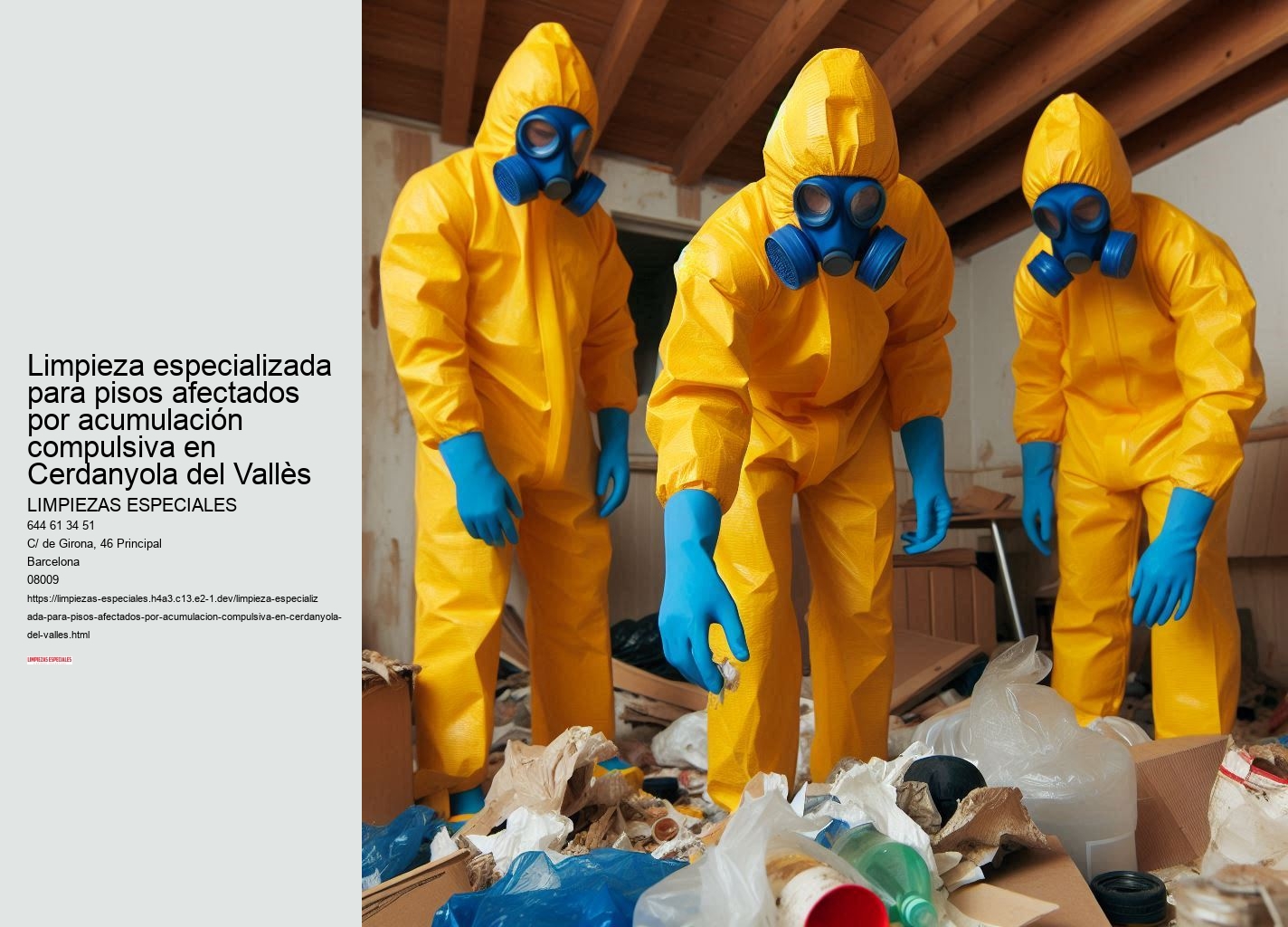 El papel de los servicios sociales en el síndrome de Diógenes