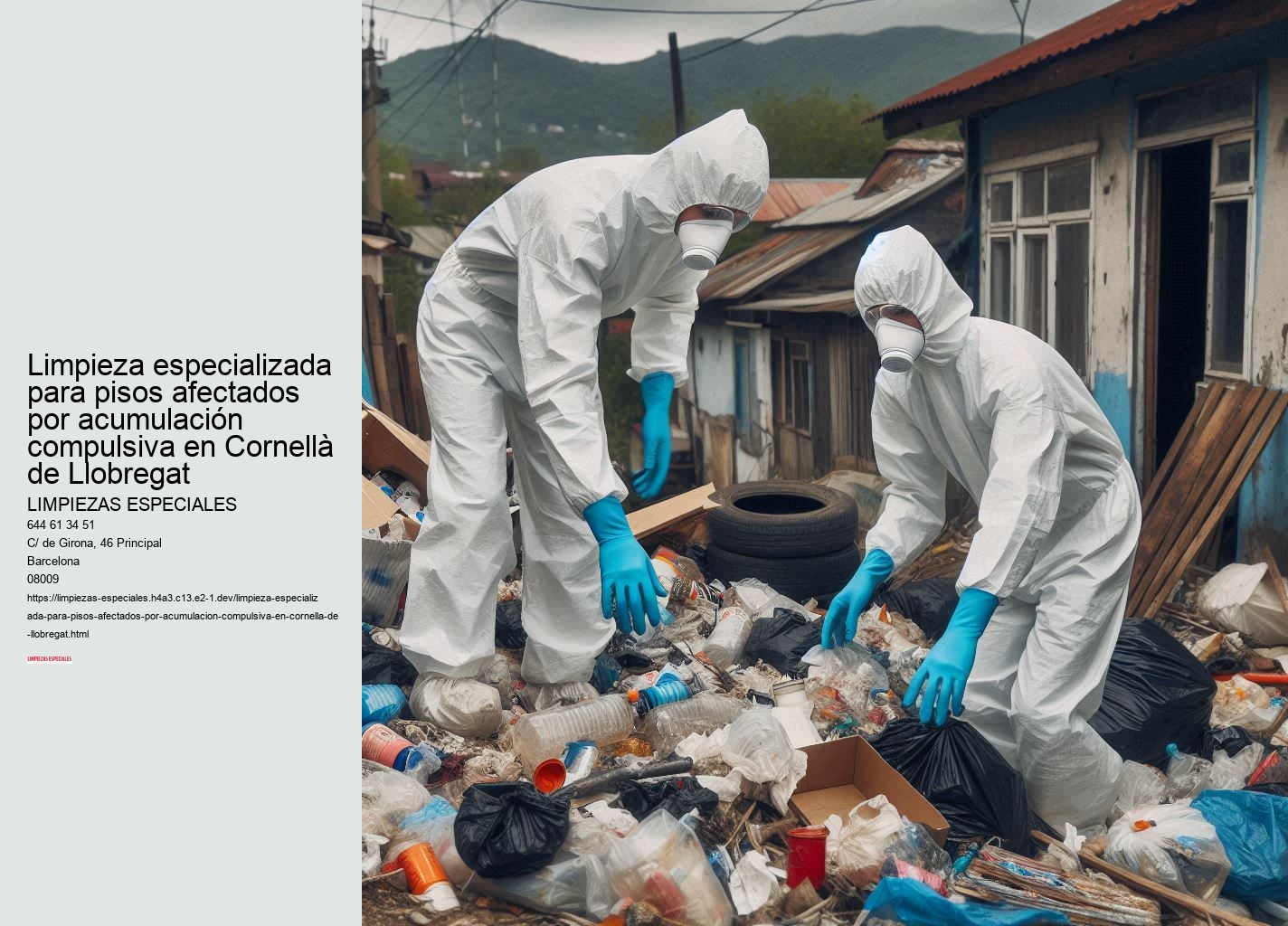 Eliminación de plagas y control de infecciones